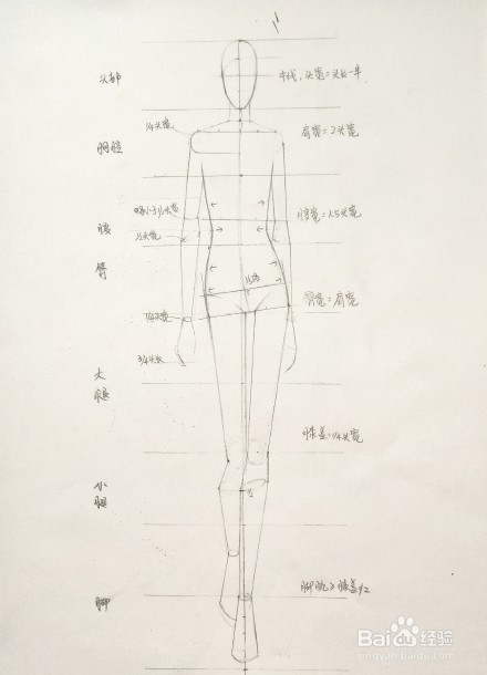 澳门游戏官网服装设计人体画法图解 服装设计入门教程(图3)