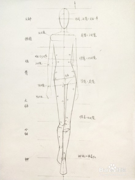 澳门游戏官网服装设计人体画法图解 服装设计入门教程(图4)