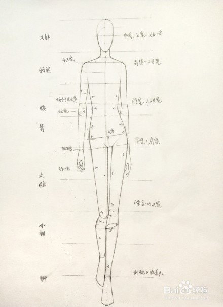 澳门游戏官网服装设计人体画法图解 服装设计入门教程(图5)
