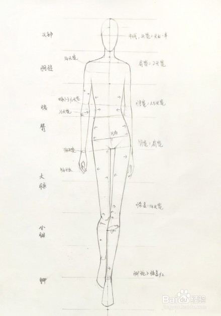 澳门游戏官网服装设计人体画法图解 服装设计入门教程(图6)